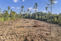 0 Fruit Hill Road photo 4