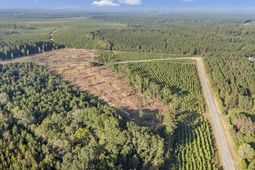 0 Fruit Hill Road photo 4