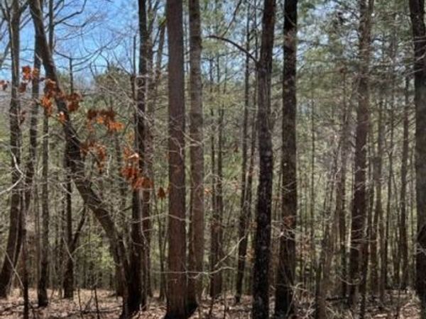 LOT 4 Hunter Ridge, Ellijay, GA 30540