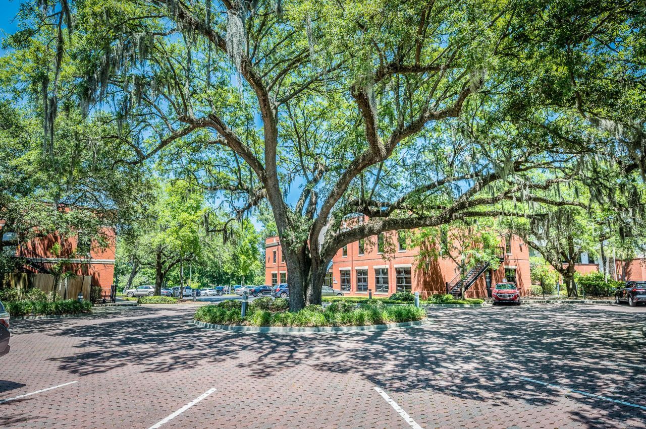 3520 W Montague Avenue Photo 4