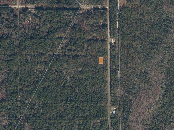 339 Chipola Drive, Georgetown, FL 32139