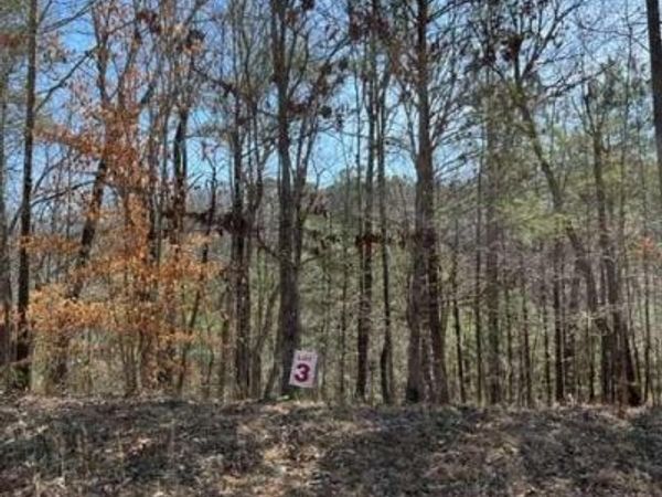 LT 3 Hunter Ridge, Ellijay, GA 30540