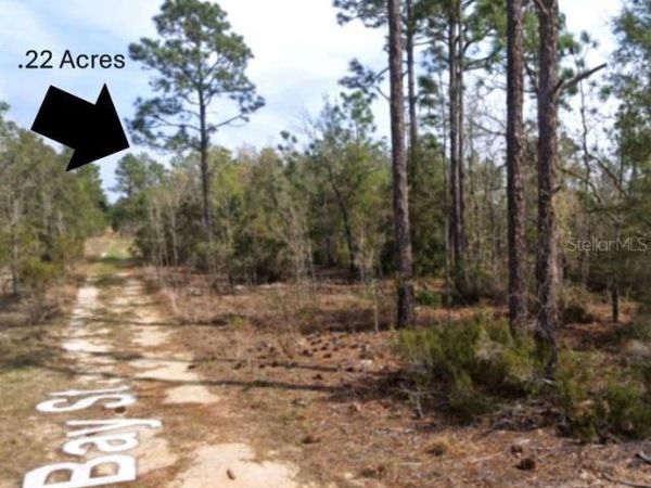 xx BAY STREET, INTERLACHEN, FL 32148