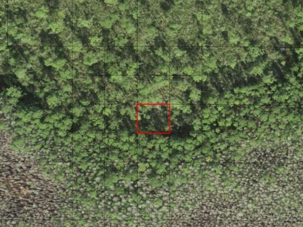 0 HOLOPAW GROVES RD, St. Cloud, FL 34772