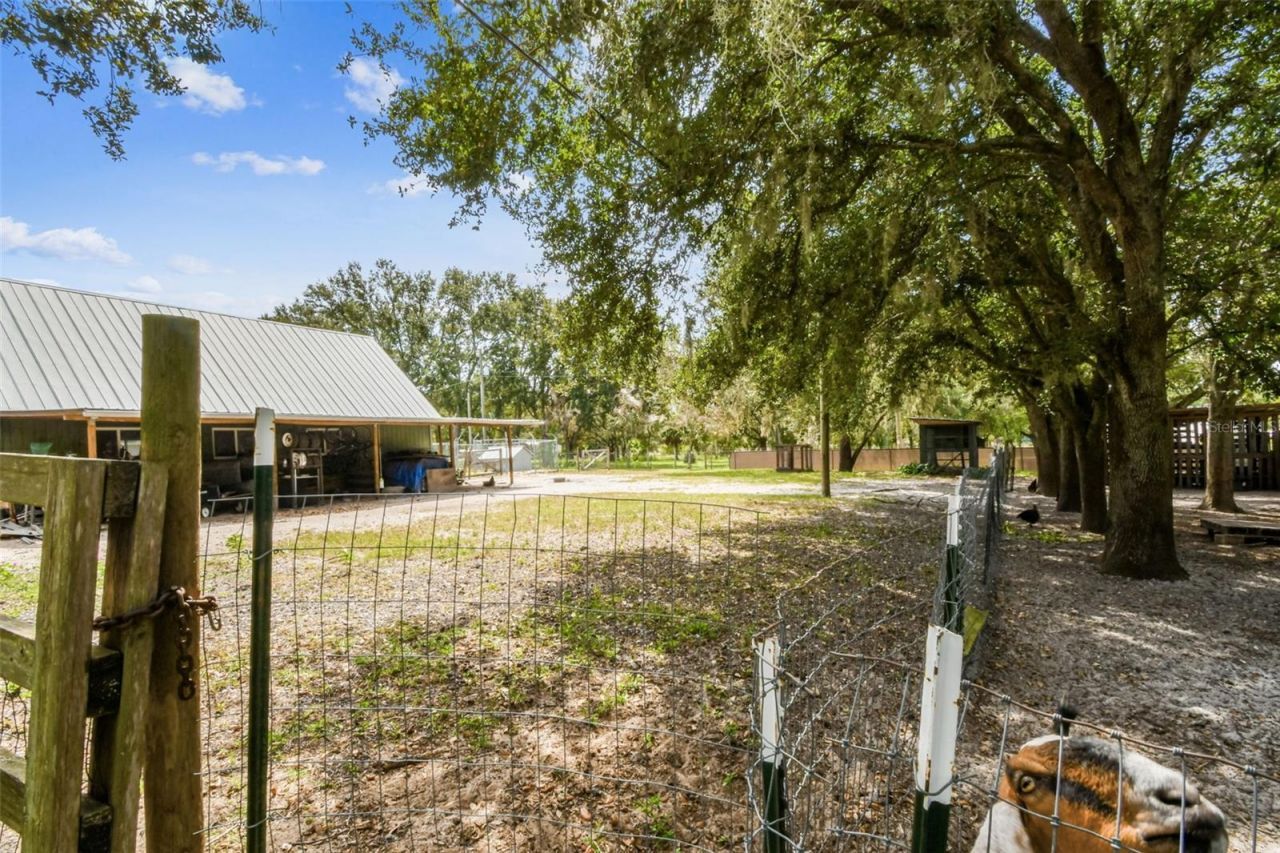 15019 Carlton Lake Road, Wimauma, FL 33598 Photo