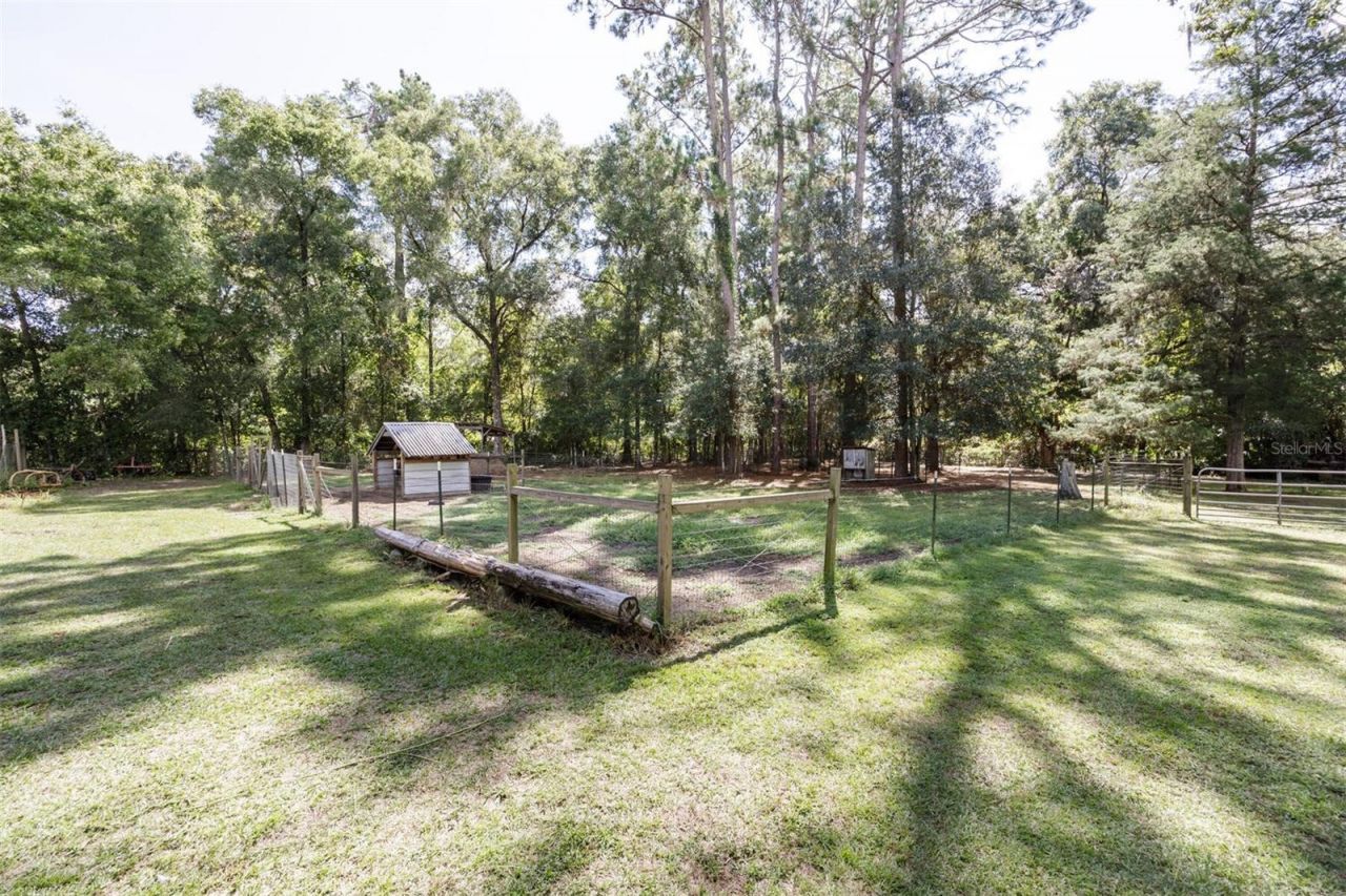 7505 SE 161st Terrace, Hawthorne, FL 32640 Photo