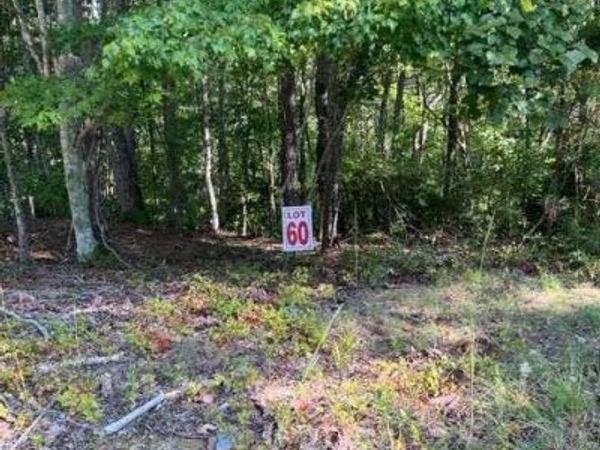 LTS 61 & 62 Honeysuckle Way, Ellijay, GA 30540