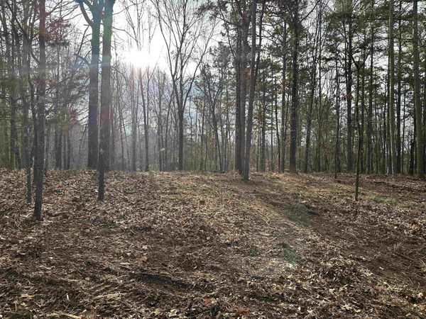 914 PARK SWAIN RD, Grand Junction, TN 38039