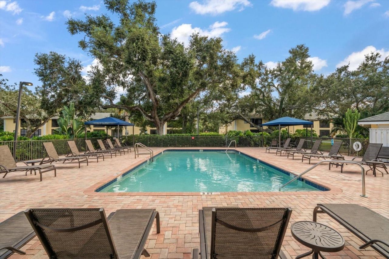 3001 58th Avenue S, Unit 1216, Saint Petersburg, FL 33712 Photo