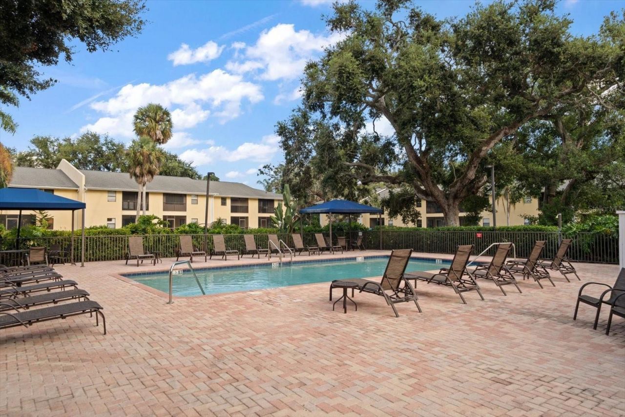 3001 58th Avenue S, Unit 1216, Saint Petersburg, FL 33712 Photo