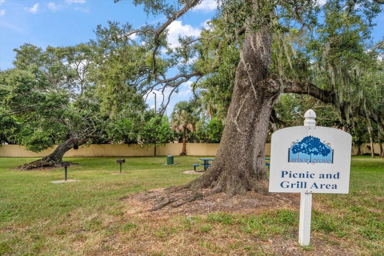 3001 58th Avenue S, Unit 1216, Saint Petersburg, FL 33712 Photo