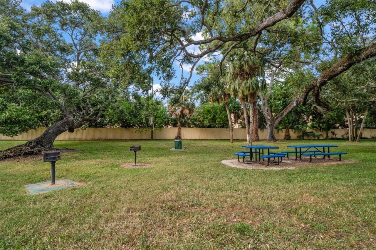 3001 58th Avenue S, Unit 1216, Saint Petersburg, FL 33712 Photo