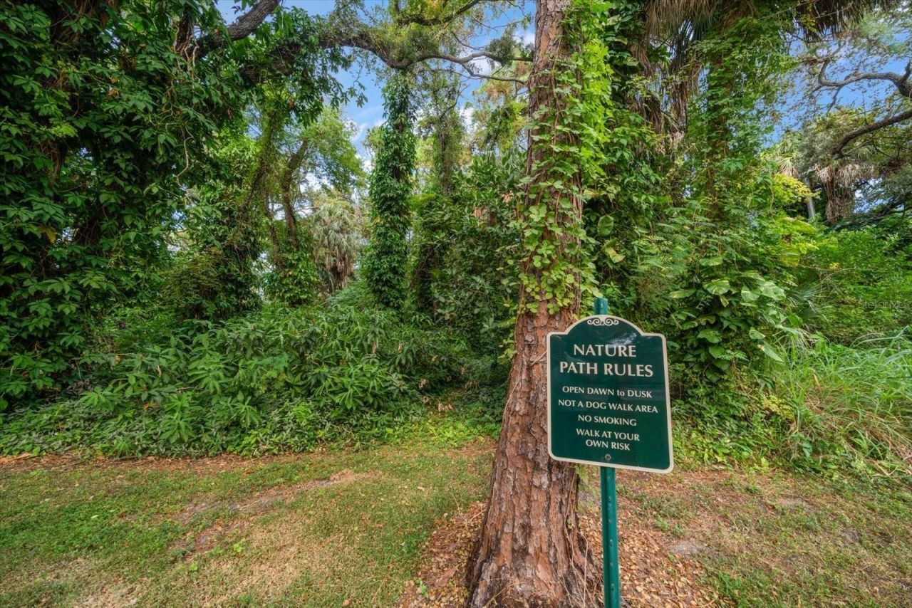 3001 58th Avenue S, Unit 1216, Saint Petersburg, FL 33712 Photo