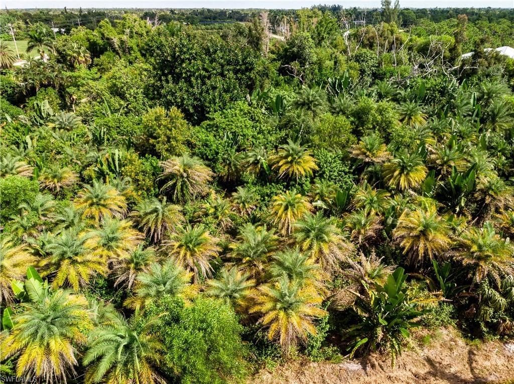 12549 Tiffany Rd, Bokeelia, FL 33922 Photo