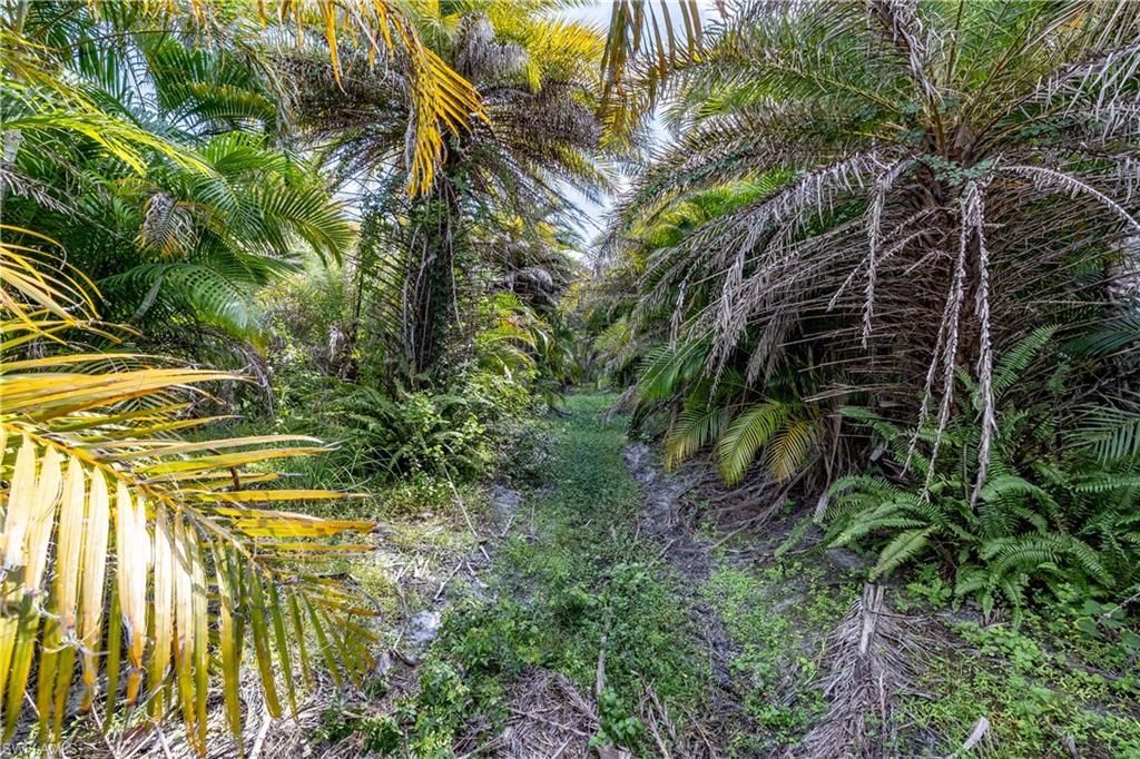 12549 Tiffany Rd, Bokeelia, FL 33922 Photo