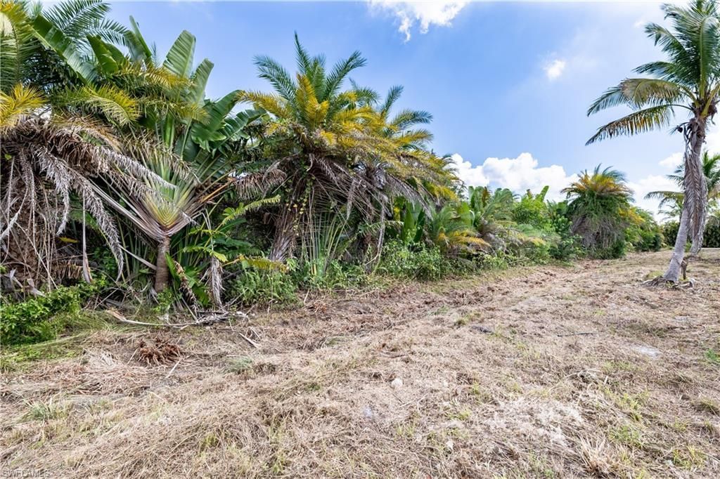 12549 Tiffany Rd, Bokeelia, FL 33922 Photo