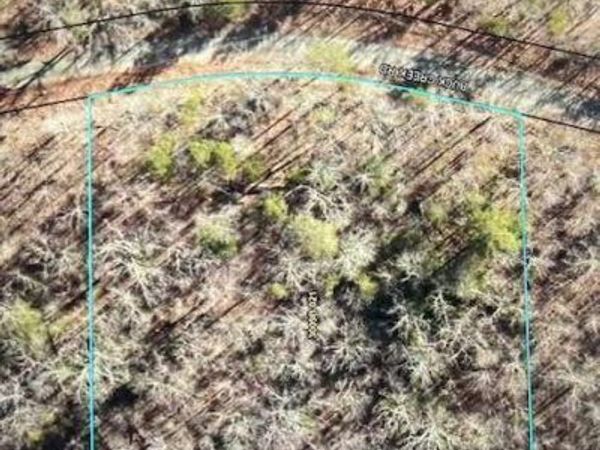 LT 32 Buck Creek Road, Ellijay, GA 30540
