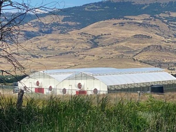 420 Reiten Drive, Ashland, OR 97520