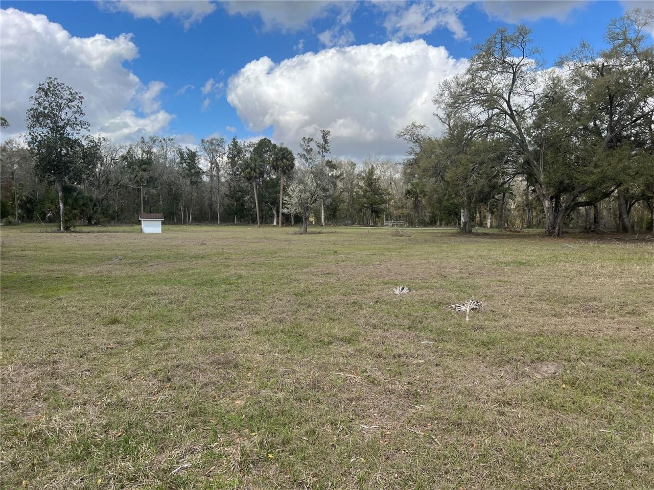 6766 264th Street, Branford, FL 32008 Photo