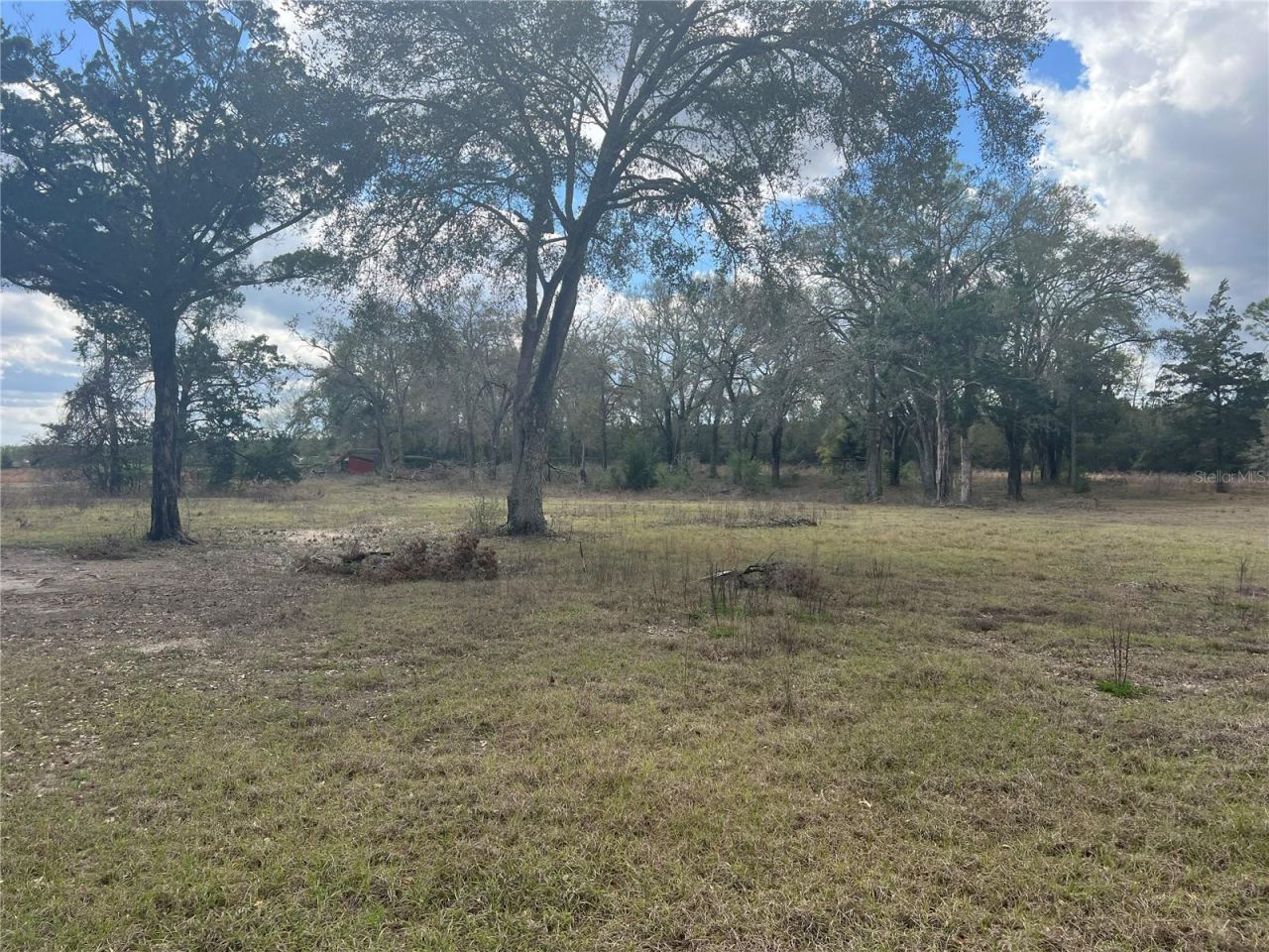 6766 264th Street, Branford, FL 32008 Photo