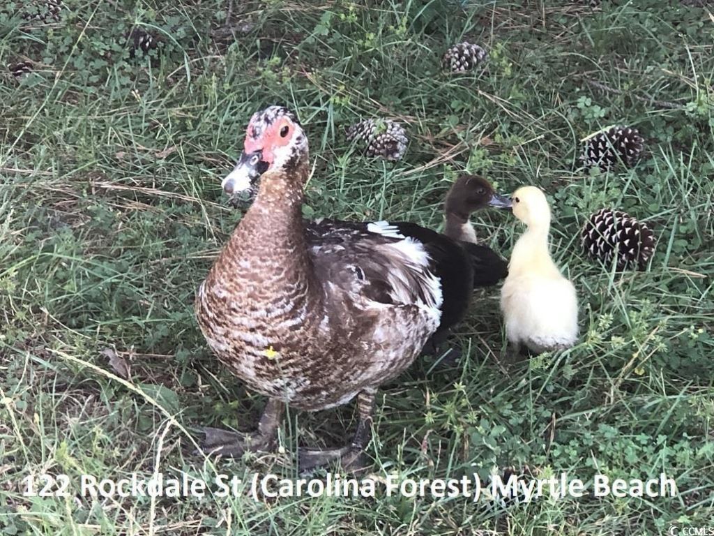 122 Rockdale St. Photo 7