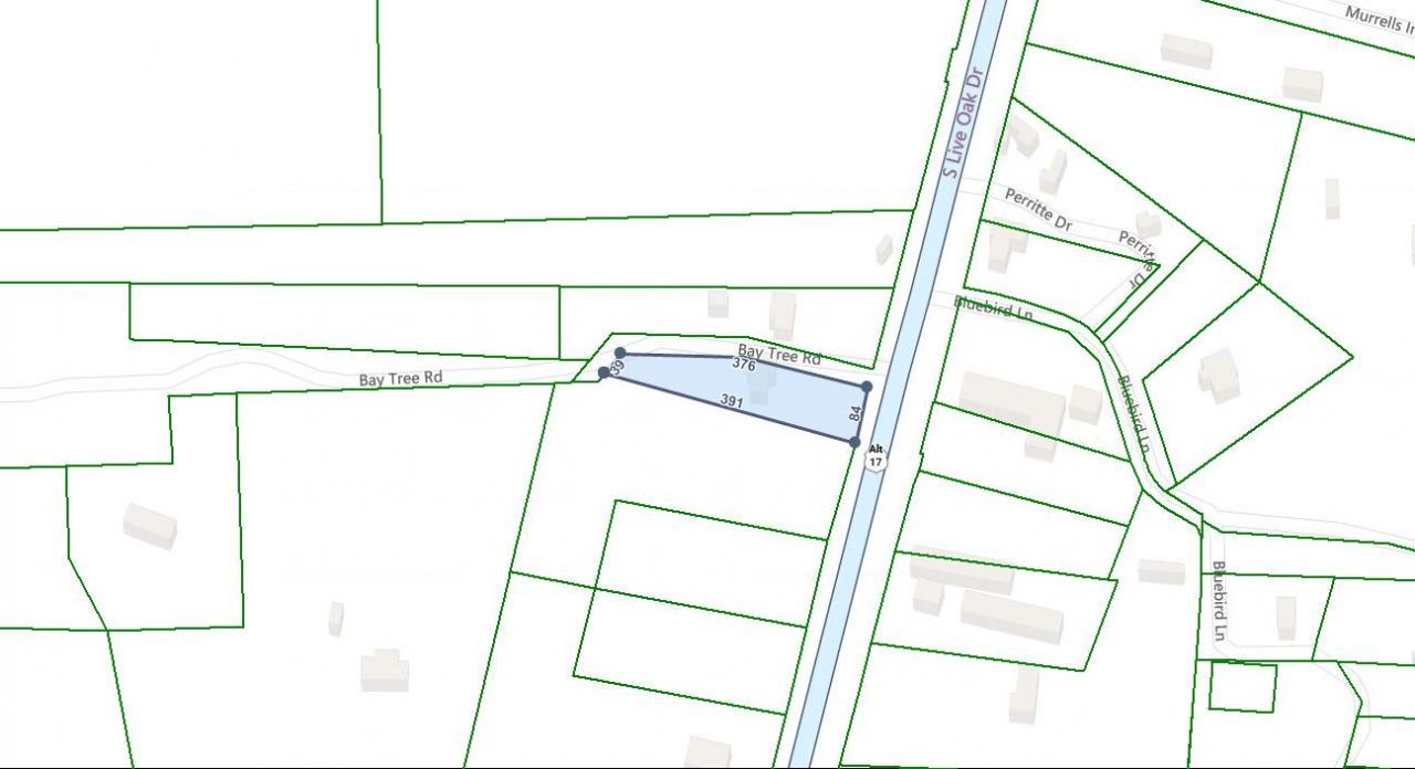 2063 S Live Oak Drive Photo 8