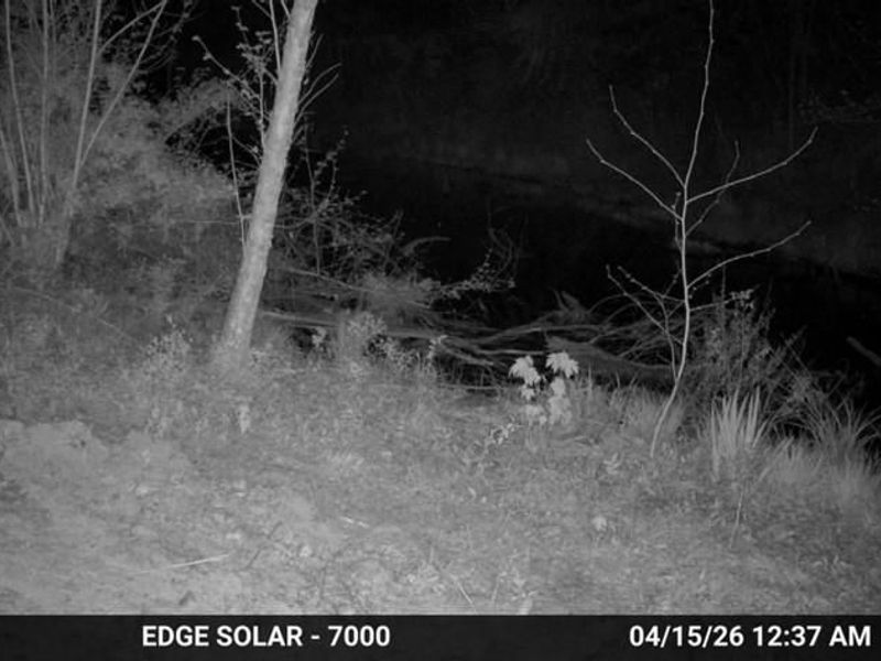 0 Careys Run Pond Creek Road, West Portsmouth, OH 45663 Photo 10