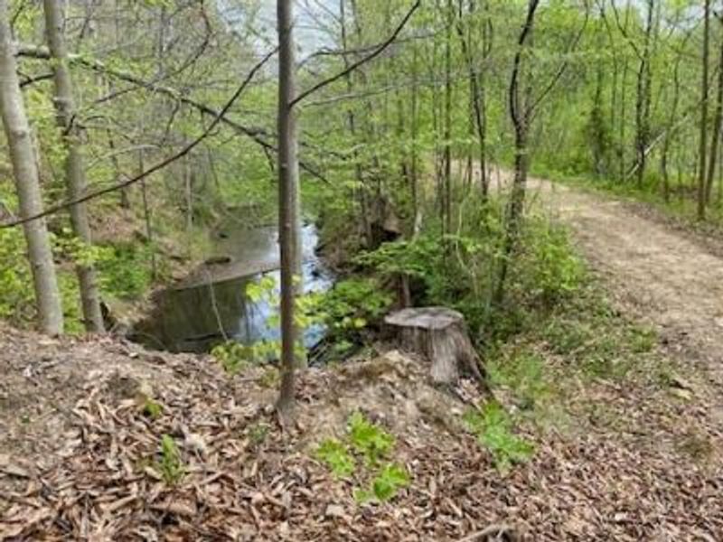 0 Careys Run Pond Creek Road, West Portsmouth, OH 45663 Photo 2
