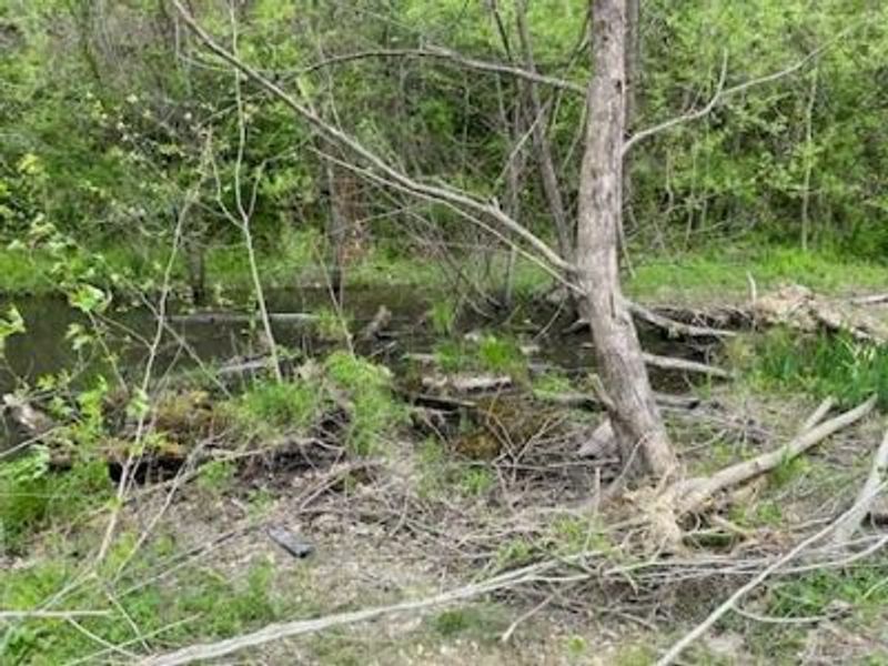 0 Careys Run Pond Creek Road, West Portsmouth, OH 45663 Photo 3