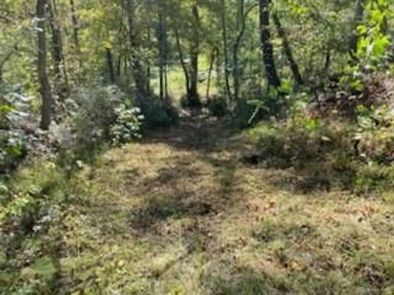 0 Careys Run Pond Creek Road, West Portsmouth, OH 45663 Photo 5