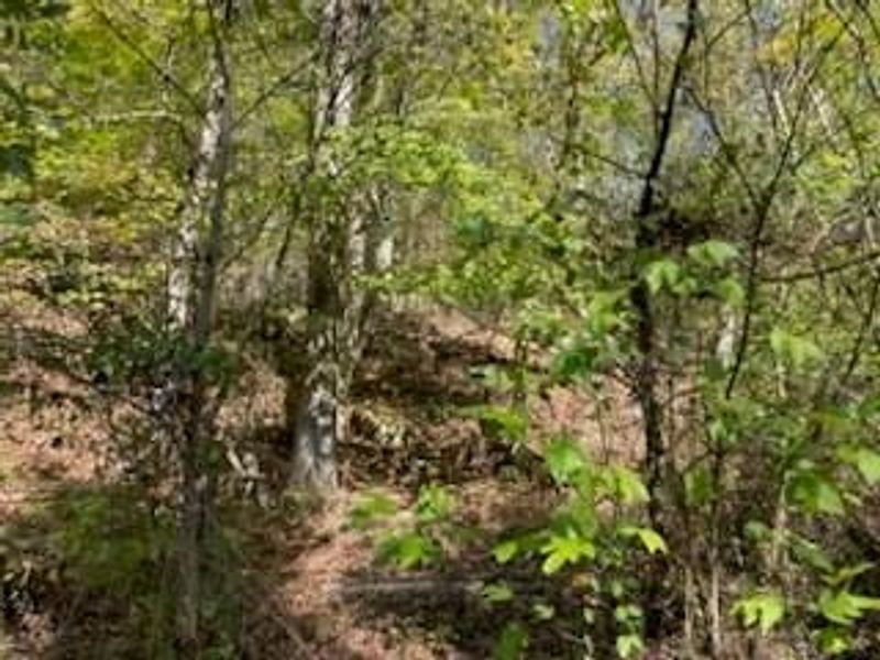 0 Careys Run Pond Creek Road, West Portsmouth, OH 45663 Photo 6