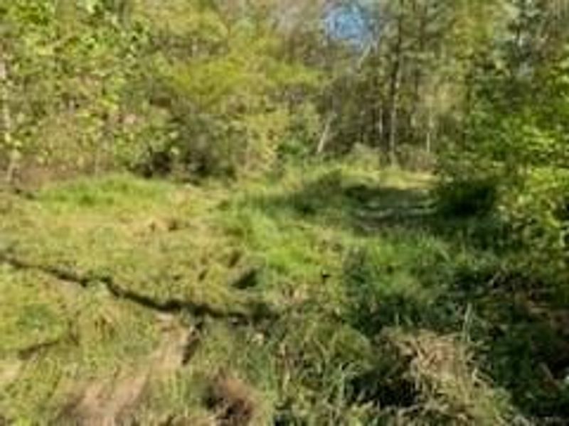 0 Careys Run Pond Creek Road, West Portsmouth, OH 45663 Photo 7