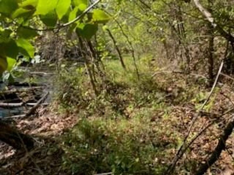 0 Careys Run Pond Creek Road, West Portsmouth, OH 45663 Photo 8