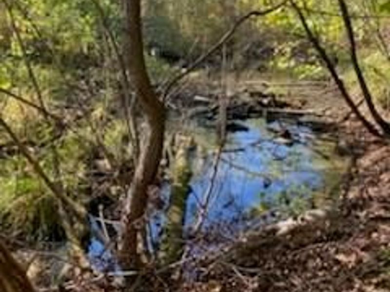 0 Careys Run Pond Creek Road, West Portsmouth, OH 45663 Photo 9