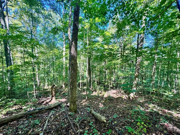 0 W. Bobcat Lane, Wilder, TN 38589