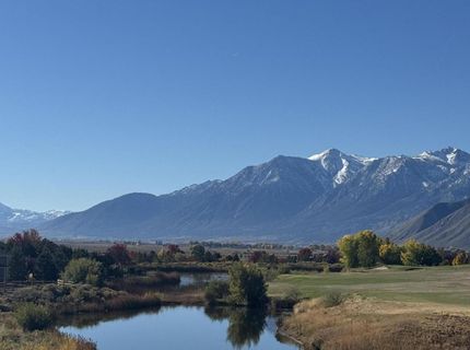 517 Cottontail Court, Genoa, NV 89411 Photo