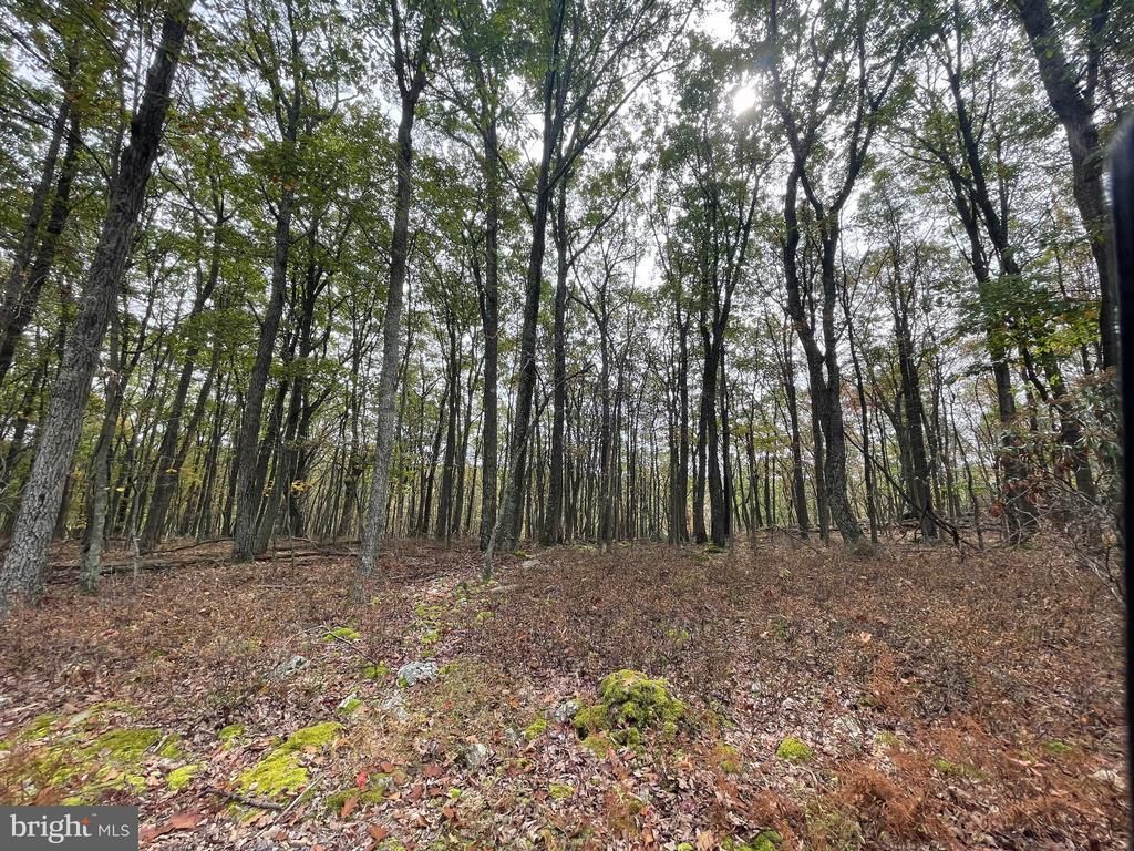 130 SPRING MOUNTAIN DR, ZION GROVE, PA 17985