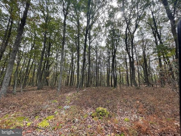 130 SPRING MOUNTAIN DR, ZION GROVE, PA 17985