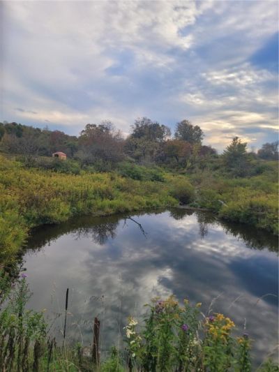 Wylie Road, Greene, NY 13778 Main Photo