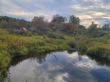 Wylie Road, Greene, NY 13778