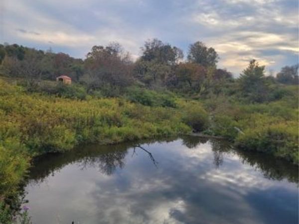 Wylie Road, Greene, NY 13778