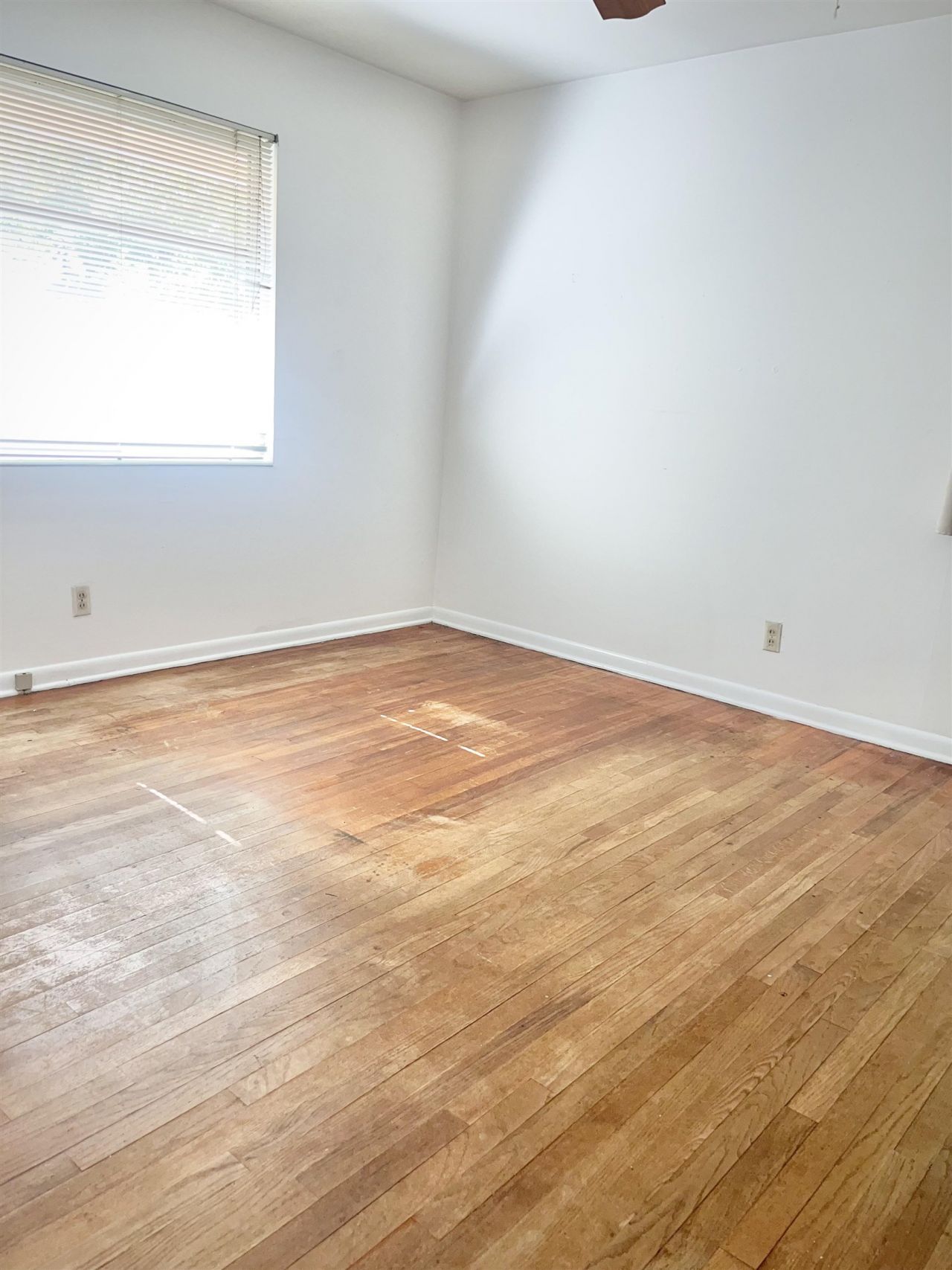 2213 Mendoza, Tallahassee, FL 32304 Photo