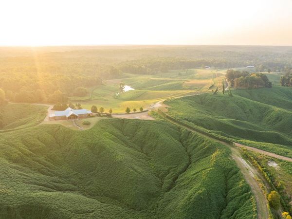 1912 Poplar Springs Road, Cascilla, MS 38920