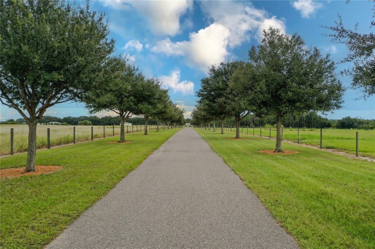 8006 Lake Lowery Road, Haines City, FL 33844 Photo