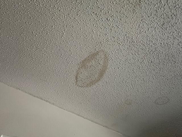 203 Canterbury Drive W, Riviera Beach, FL 33407 Photo