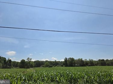 CHESTNUT, MERTZTOWN, PA 19539