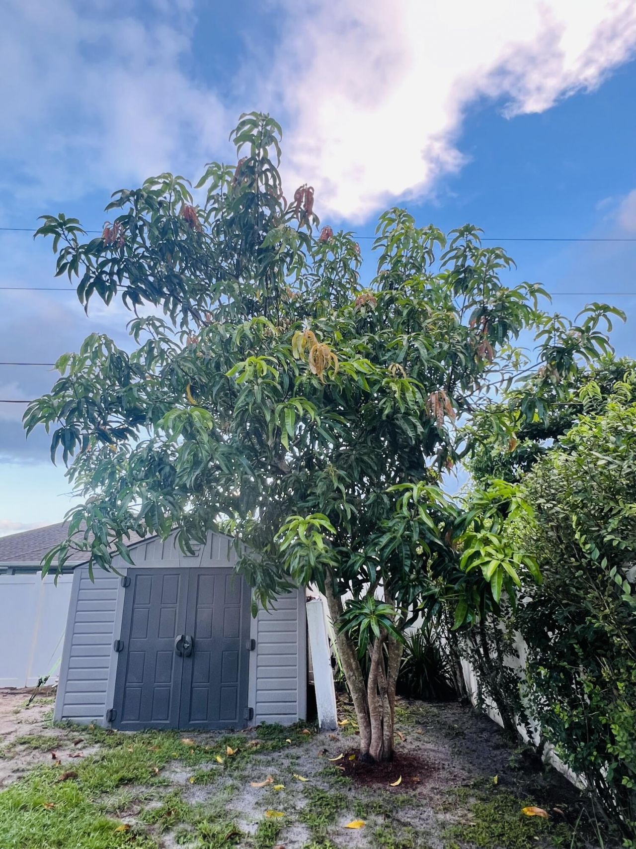 691 SW Mccomb Avenue, Port Saint Lucie, FL 34983 Photo