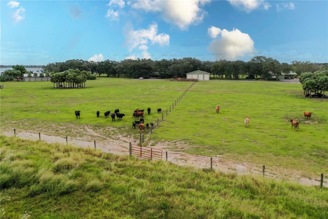 8010 Lake Lowery Road, Haines City, FL 33844 Photo