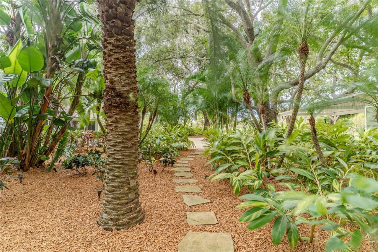 8010 Lake Lowery Road, Haines City, FL 33844 Photo