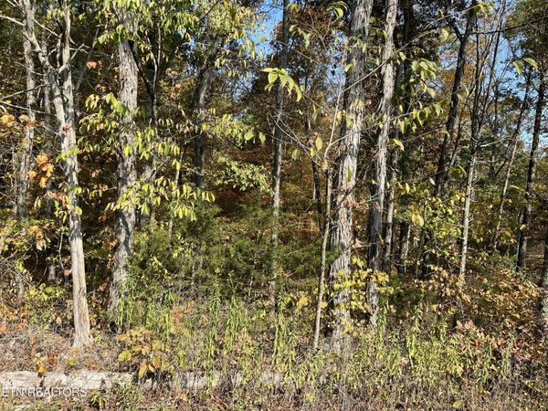 269 Elohi Way, Loudon, TN 37774